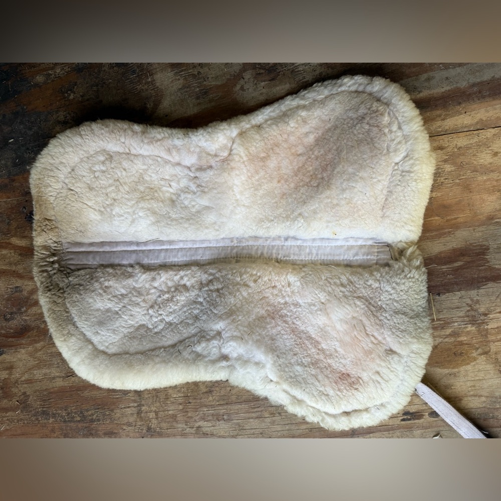 Large Europa shim-able half pad - Picture 3 of 3